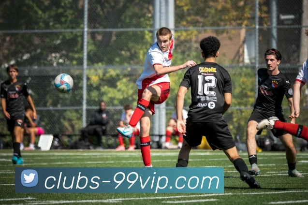 99贵宾会官网发展历程